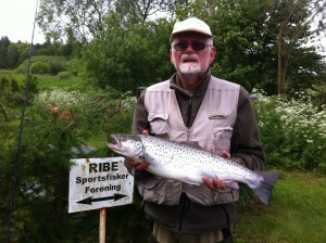 Fisk 8 Juni 008