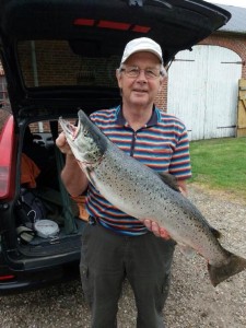 Havørred 74 cm 5,5 kg