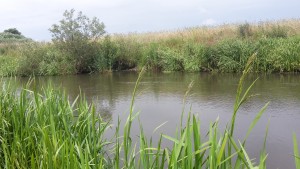 20170628_123528