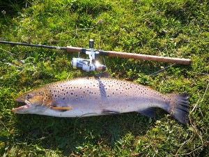 Bjarne Lund Havørred 70 cm 4.5 kg