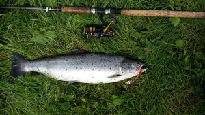 Bjarne Rasmussen Havørred 58 cm 2.5 kg -