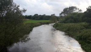 Ribe Å