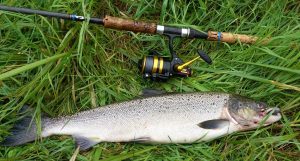 Bjarne's laks 62 cm 2 kg