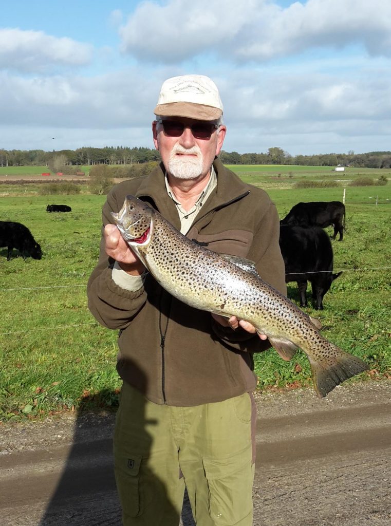 Erik Erbs havørred 69 cm 4.3 kg