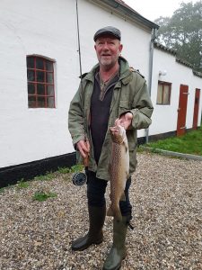Keld havørred 56 cm 1,8 kg