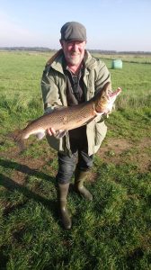 Keld laks 70 cm 2,8 kg