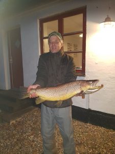 Stig havørred 76 cm 4.63 kg