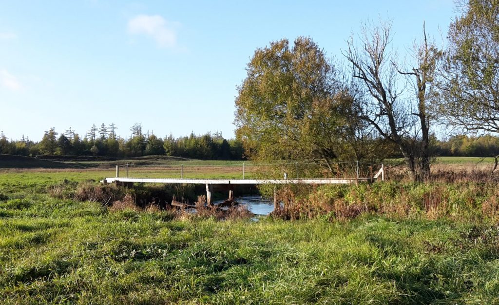 Ødegårds broen, hvor det kan ses at træet spærre 3/4 af vandløbet og vandpresset ville blive endnu større ved højere vandstand
