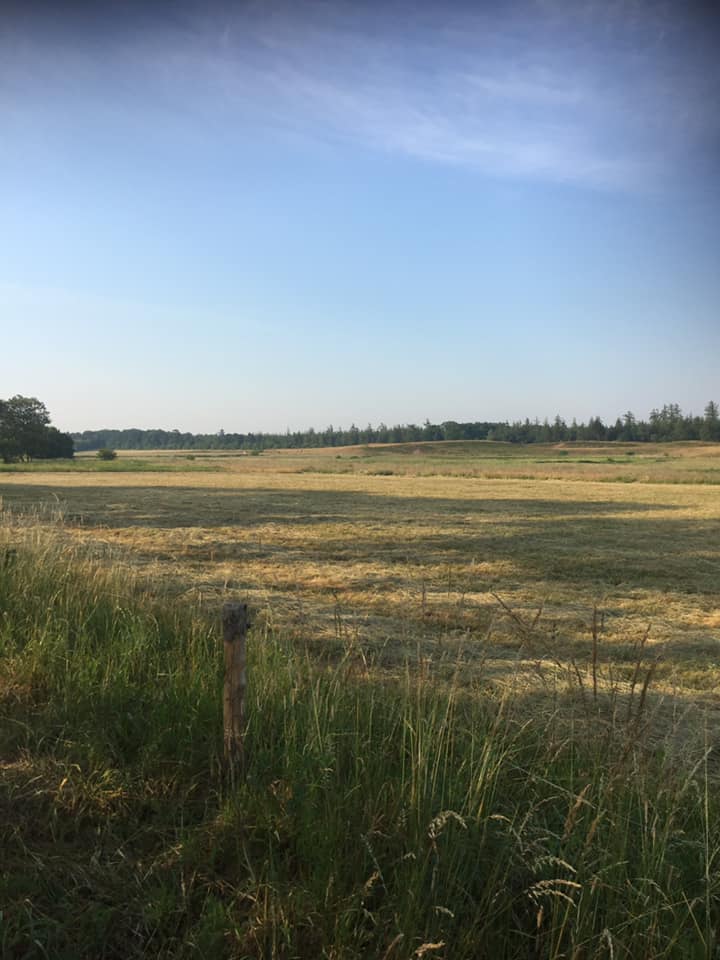 Skøn morgen ved K2
